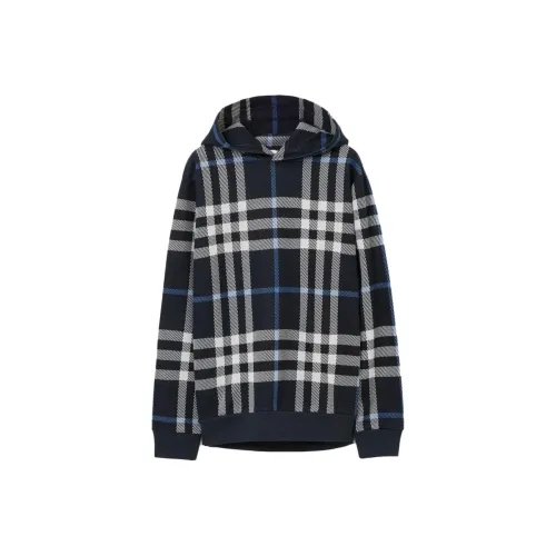 Burberry Синий Мужской Свитшот