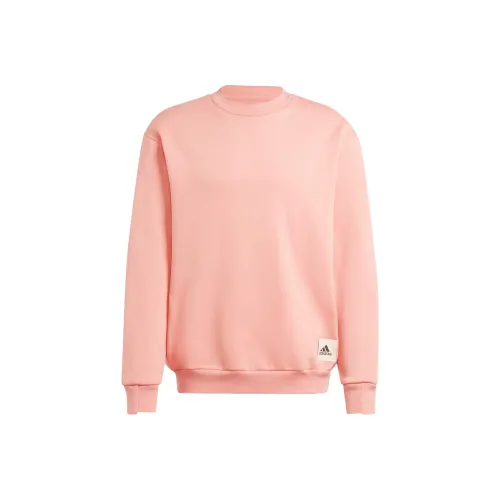 Adidas Толстовка Мужская Magical Глина