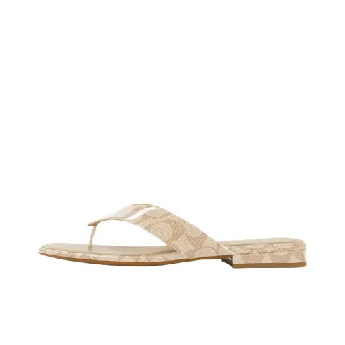 COACH Резиновая подошва Шлепанцы Женские Светлый Умбра