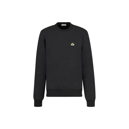 DIOR Quarterly New Products Черные Мужские Толстовки