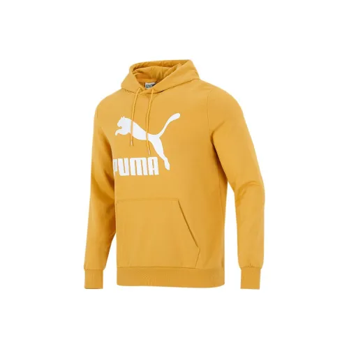 PUMA Золотой Мужской Свитшот