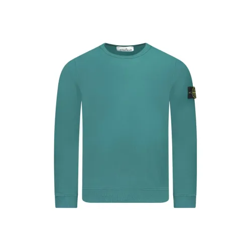 STONE ISLAND Толстовка Мужская Зеленая