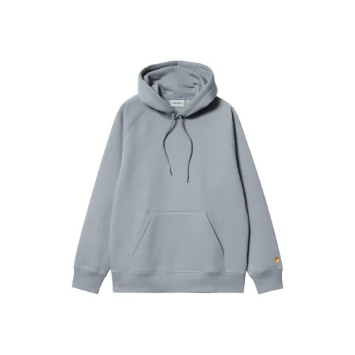 Carhartt WIP С капюшоном Chase Толстовка Мужская Серого цвета