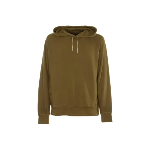 Ermenegildo Zegna Коричневый Мужской Свитшот
