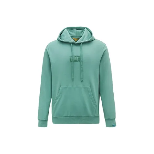 Кошка Аква-синий Унисекс Свитшоты