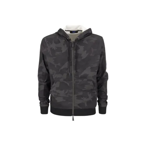 KITON Серый Мужской Свитшот