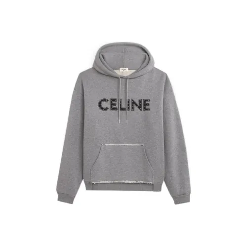 Celine Серый Мужской Свитшот