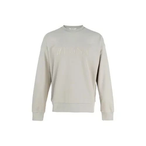 Ermenegildo Zegna Серый Мужской Свитшот