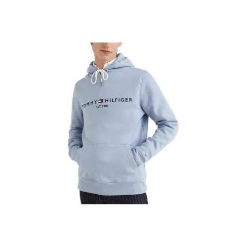 Tommy Hilfiger Embroidered Logo Свитшот Толстовка Мужской Светло-Синий