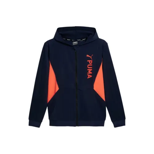 PUMA Синий Мужской Свитшот