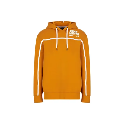 ARMANI EXCHANGE Желтый Коричневый Мужские Свитшоты