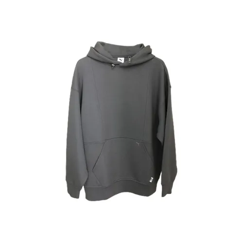 PUMA Серый Унисекс Свитшоты