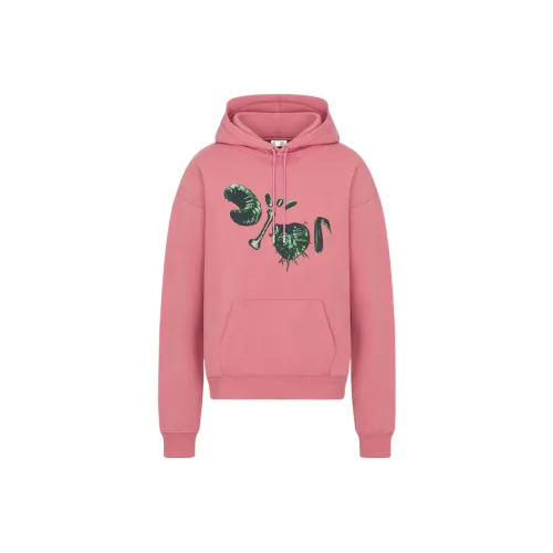 DIOR Travis Scott FW22 Толстовка Мужской Розовый