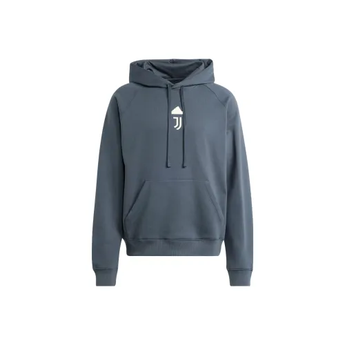 Adidas Juventus Темно-синий Серый Мужские Толстовки