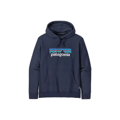 Patagonia Uprisal Мужские Свитшоты