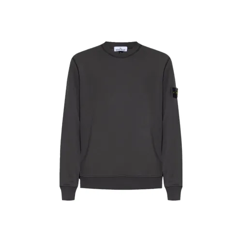 STONE ISLAND Серый Мужской Свитшот