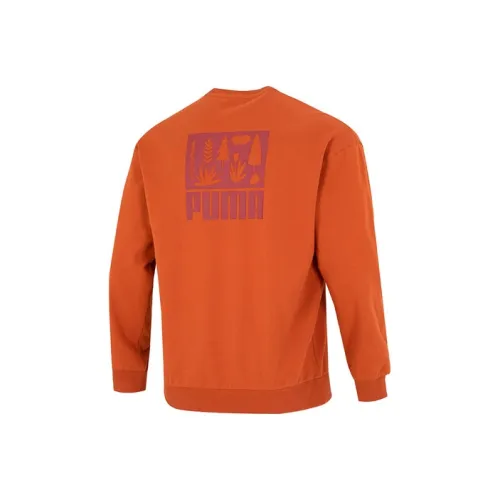 PUMA Orange Men's Hoodies