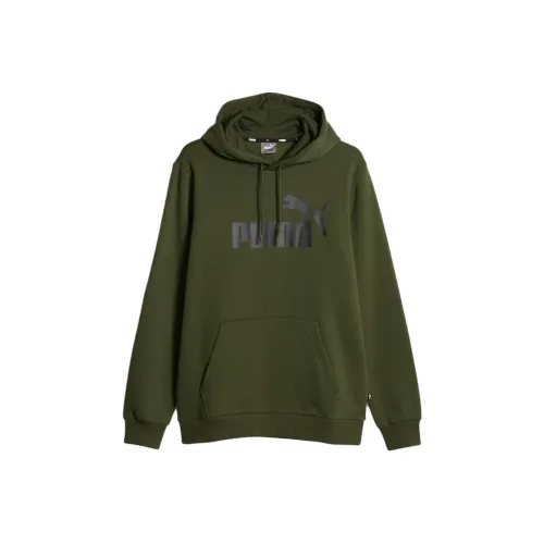 PUMA Sweat À Capuche Essentiels Big Logo Homme Толстовка Мужской Оливково-зеленый