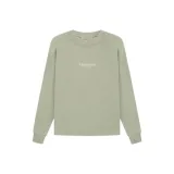 Серо-зеленый