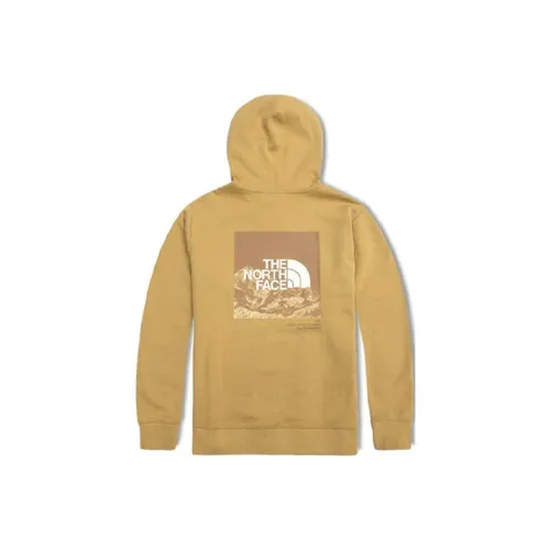 THE NORTH FACE SS22 Свитшот Унисекс Желтый