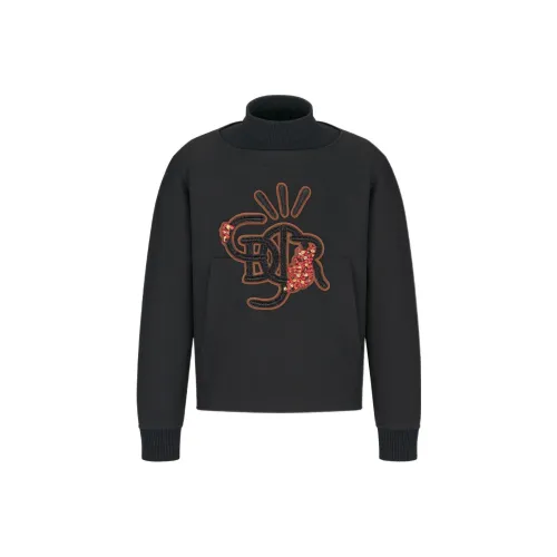 DIOR x Travis Scott FW22 Толстовка Мужской Черный