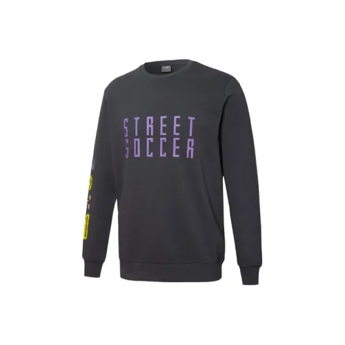 PUMA Эбони Мужские Толстовки