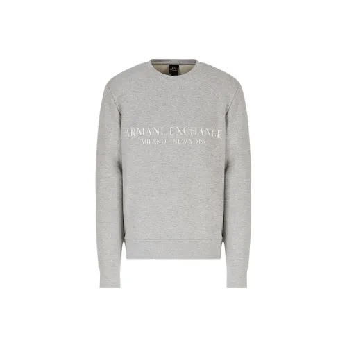 ARMANI EXCHANGEAE FW22 Толстовка Мужской Светло-Серый