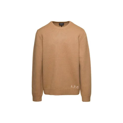 A.P.C Коричневый Мужской Свитшот