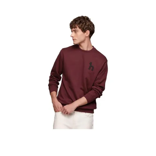 HAZZYS Мужские Свитшоты