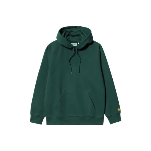 Carhartt WIP Зеленый Мужской Свитшот