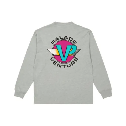 Дворцовый серый мужской свитшот