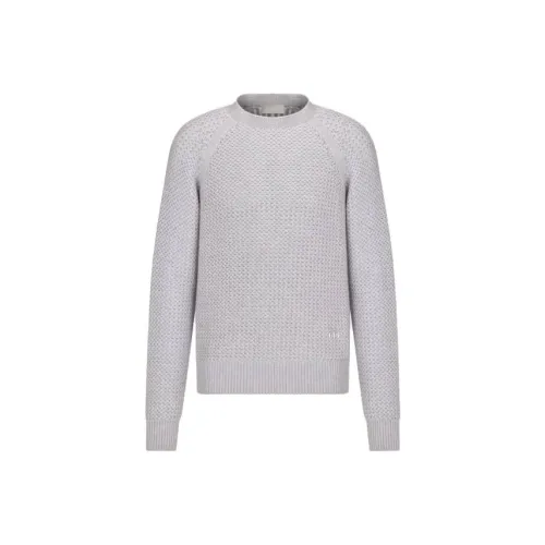 DIOR Серый Мужской Свитшот