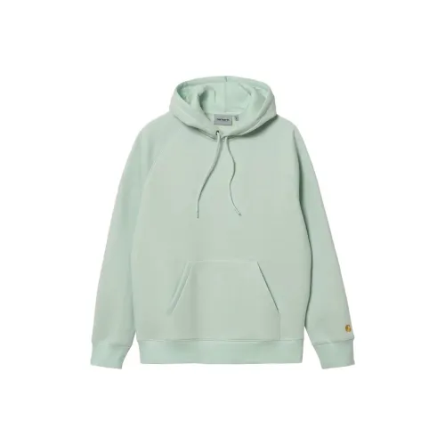 Carhartt WIP Зеленый Мужской Свитшот