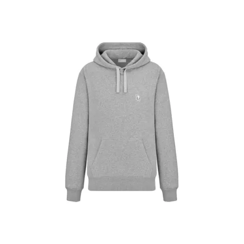 DIOR SS22 Свитшот Мужской Серый