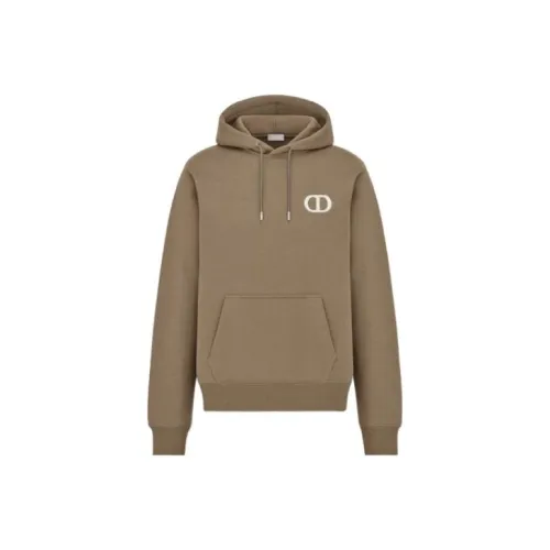 DIOR SS22 Толстовка Мужской Коричневый