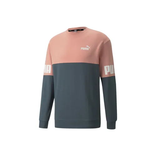 PUMA Серый Синий Розовый Мужские Свитшоты