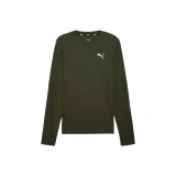 Темно-оливковый