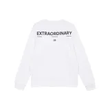 A06 Натуральный белый