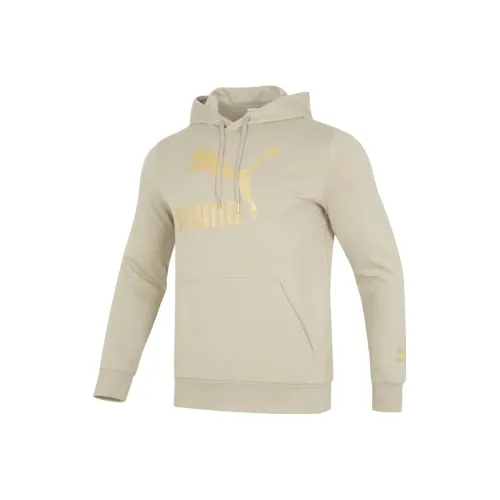 PUMA Толстовка Унисекс Серый Земля