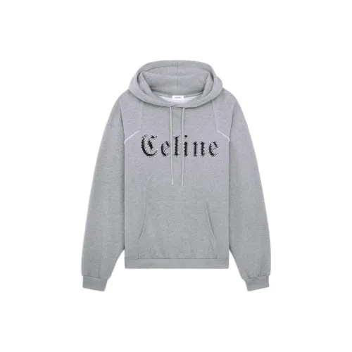 Celine Серый Мужской Свитшот