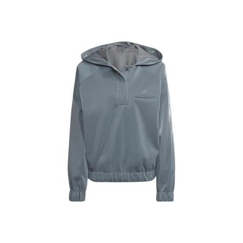 adidas originals Blue Version Collection Светло-серый Унисекс Свитшоты