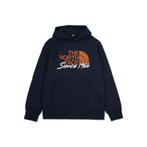 THE NORTH FACE Urban Exploration Свитшот Мужской Синий