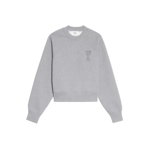 AMIPARIS FW22 Свитшот Унисекс Серый