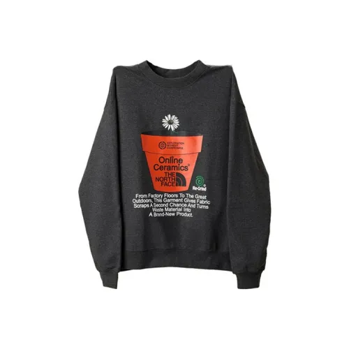 The North Face Online Ceramics Мужские Толстовки Черные