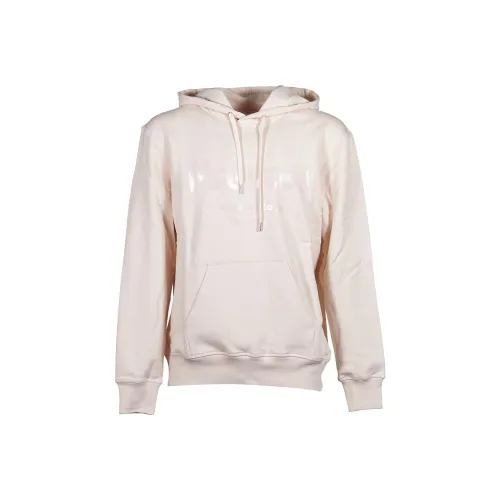 Alexander McQueen Бежевый Мужской Свитшот