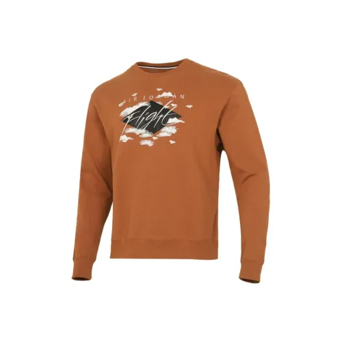 JORDAN Khaki Мужские Свитшоты