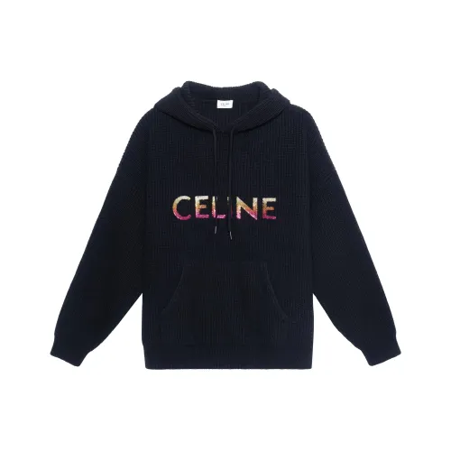 CELINE FW22 Толстовка Мужской Черный