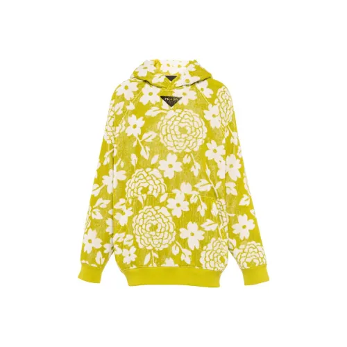 PRADA Ферн Зеленый Мужской Свитшот