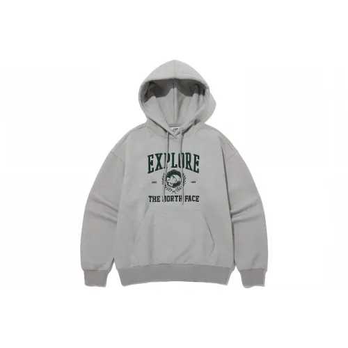The North Face Серый Мужской Свитшот