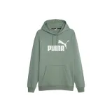 Эвкалипт зеленый